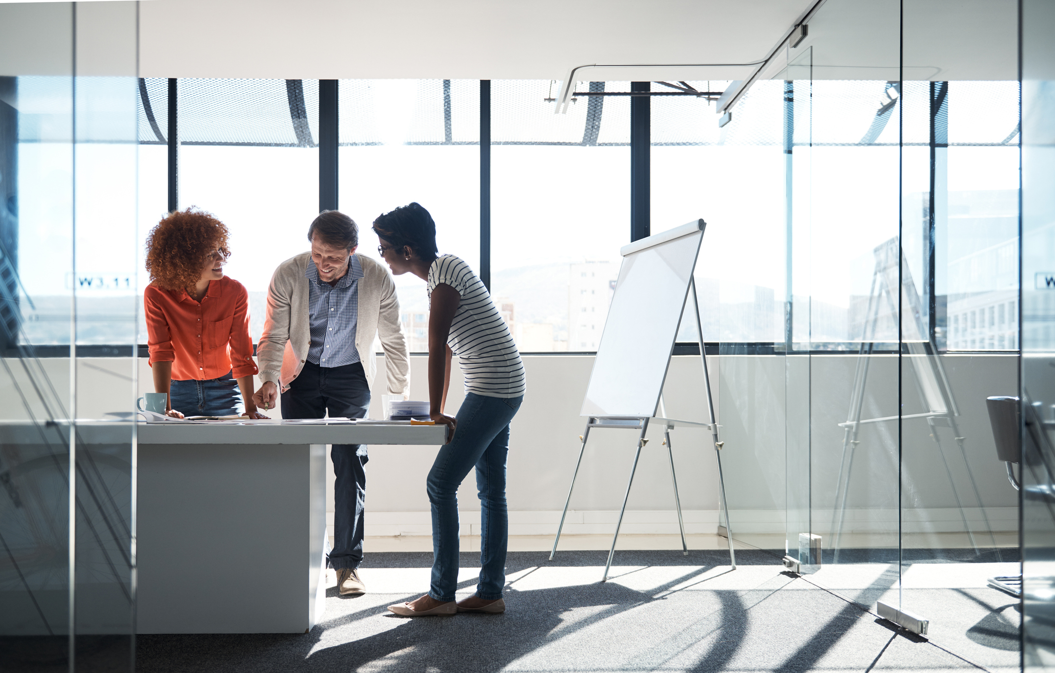 Values Vivisol Corporate